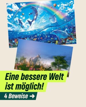 Einer der neuesten Instagram-Posts von Britta Haßelmann