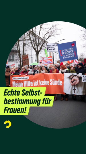 Einer der neuesten Instagram-Posts von Britta Haßelmann