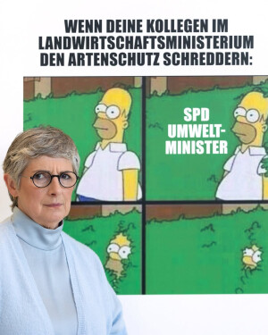 Einer der neuesten Instagram-Posts von Britta Haßelmann