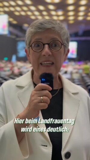 Einer der neuesten Instagram-Posts von Britta Haßelmann