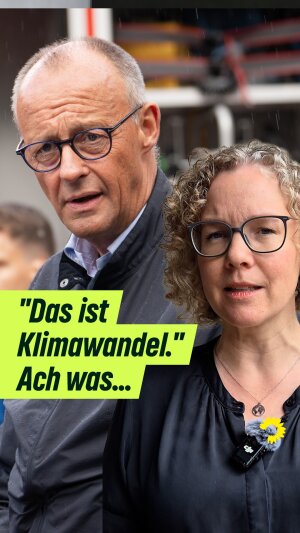 Einer der neuesten Instagram-Posts von Britta Haßelmann