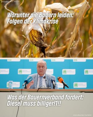 Einer der neuesten Instagram-Posts von Britta Haßelmann