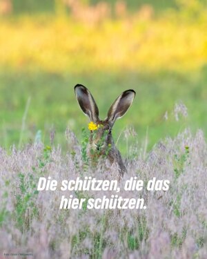 Einer der neuesten Instagram-Posts von Britta Haßelmann