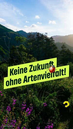 Einer der neuesten Instagram-Posts von Britta Haßelmann
