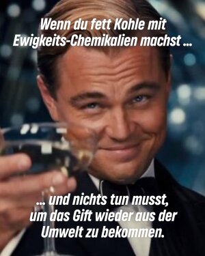 Einer der neuesten Instagram-Posts von Britta Haßelmann