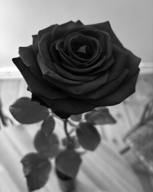 Einer der neuesten Instagram-Posts von Britta Haßelmann