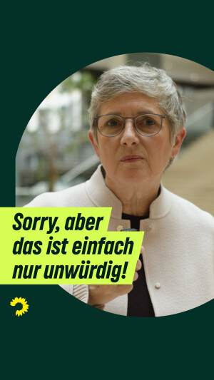 Einer der neuesten Instagram-Posts von Britta Haßelmann
