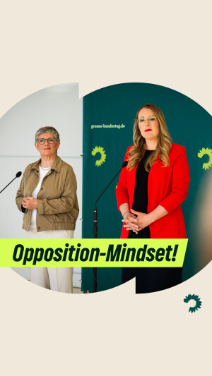 Einer der neuesten Instagram-Posts von Britta Haßelmann