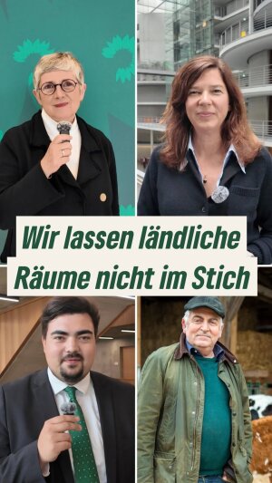 Einer der neuesten Instagram-Posts von Britta Haßelmann