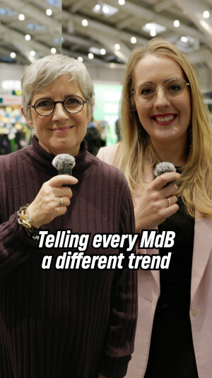 Einer der neuesten Instagram-Posts von Britta Haßelmann