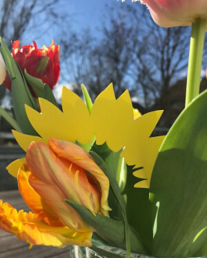 Einer der neuesten Instagram-Posts von Britta Haßelmann