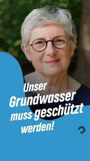 Einer der neuesten Instagram-Posts von Britta Haßelmann