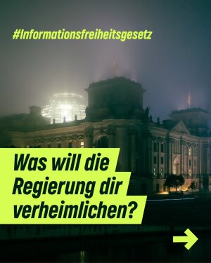 Einer der neuesten Instagram-Posts von Britta Haßelmann