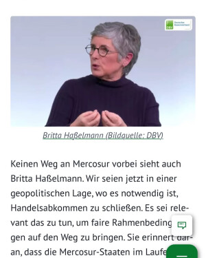 Einer der neuesten Instagram-Posts von Britta Haßelmann