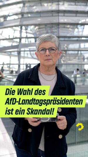 Einer der neuesten Instagram-Posts von Britta Haßelmann