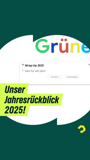 Einer der neuesten Instagram-Posts von Britta Haßelmann