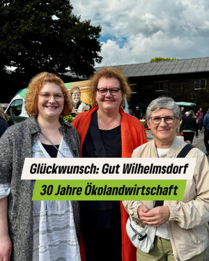 Einer der neuesten Instagram-Posts von Britta Haßelmann
