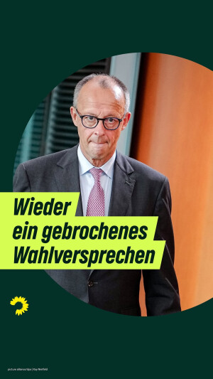 Einer der neuesten Instagram-Posts von Britta Haßelmann