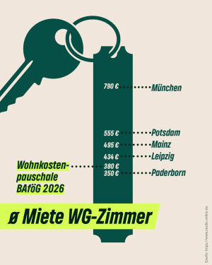 Einer der neuesten Instagram-Posts von Britta Haßelmann