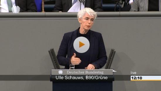 180319 Schauws Equal Pay